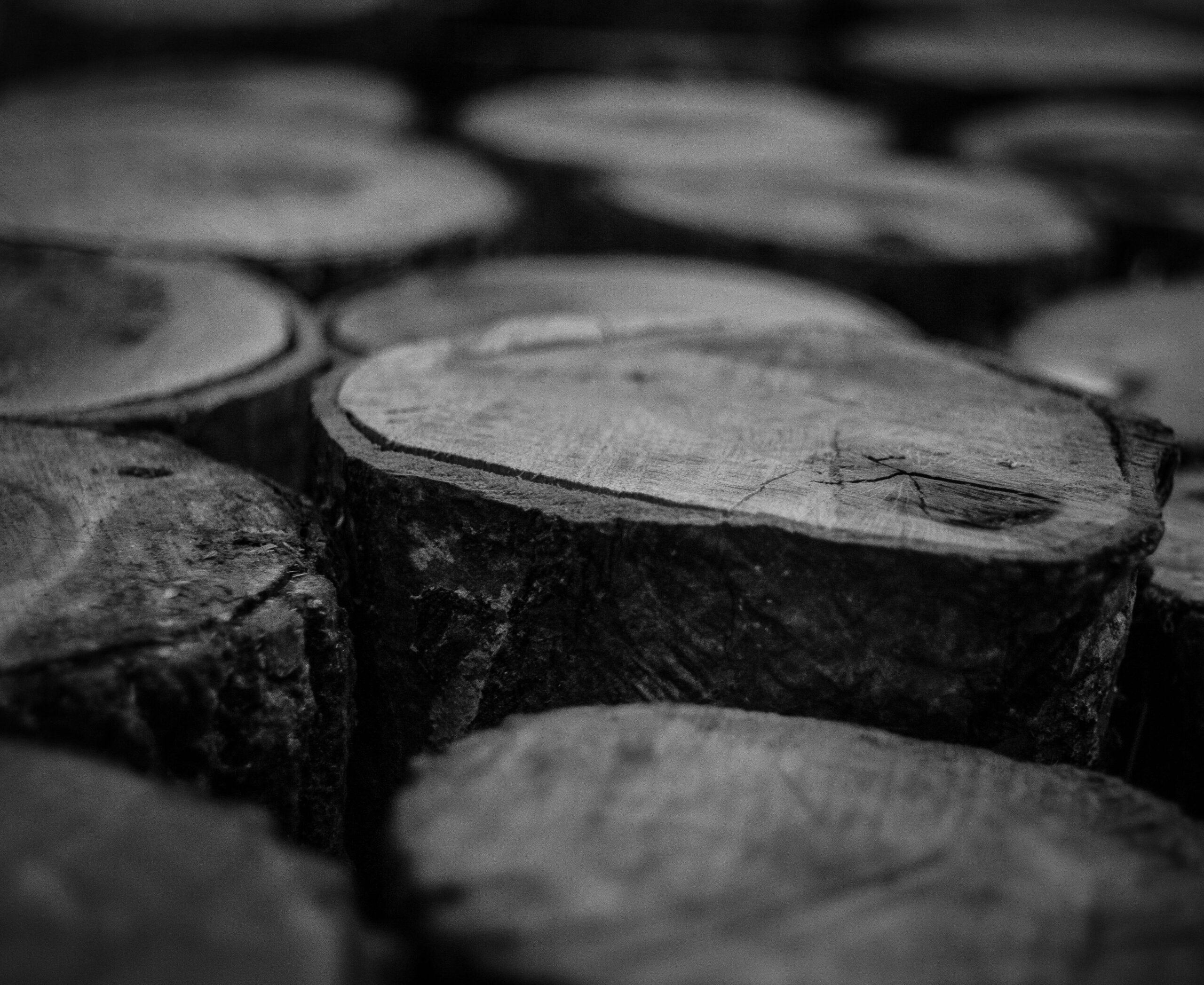 Monochrome close-up of neatly stacked wooden logs showcasing texture and detail.